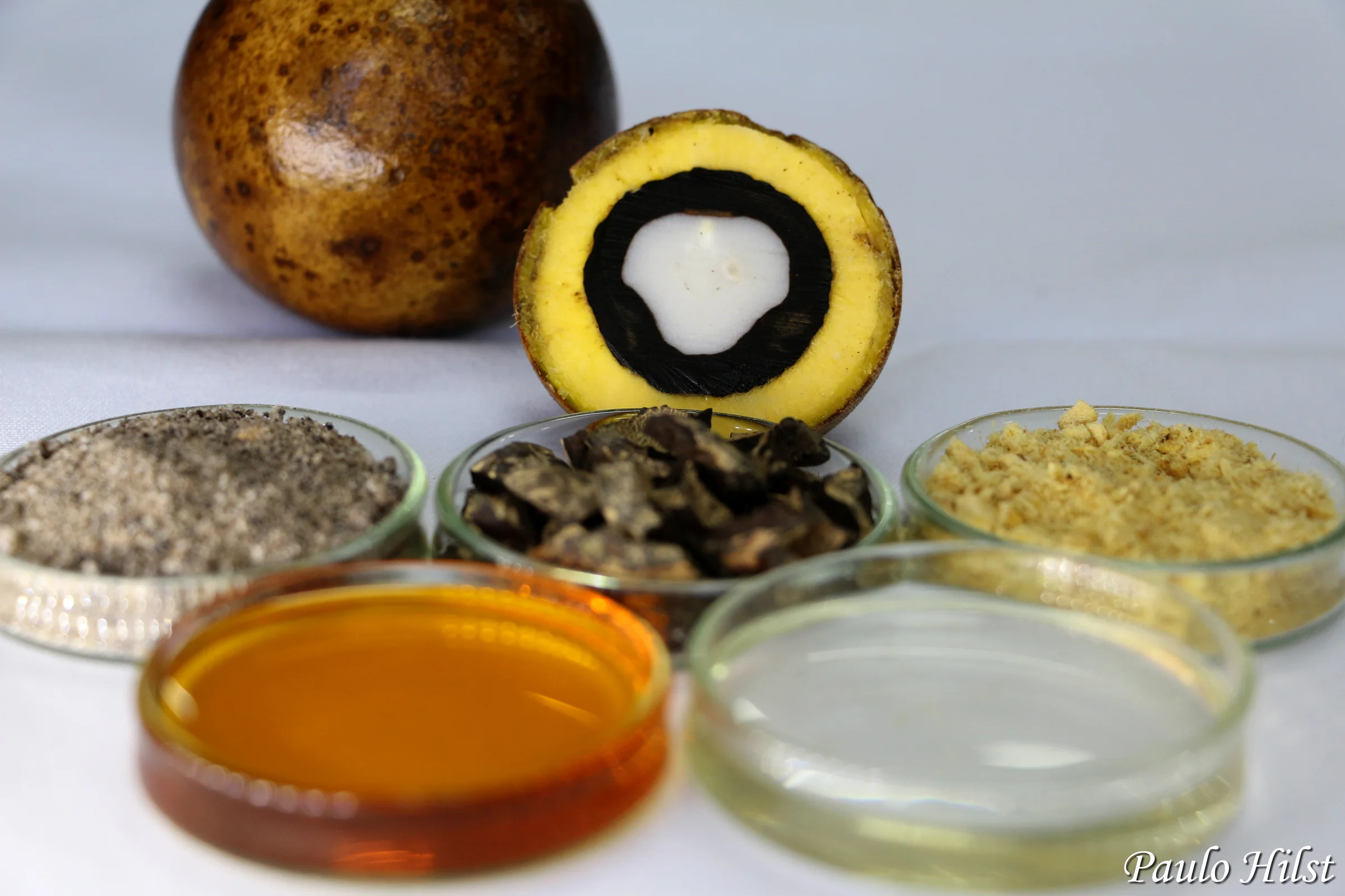 Produtos da macaúba